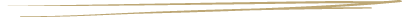 Decorative horizontal gold lines